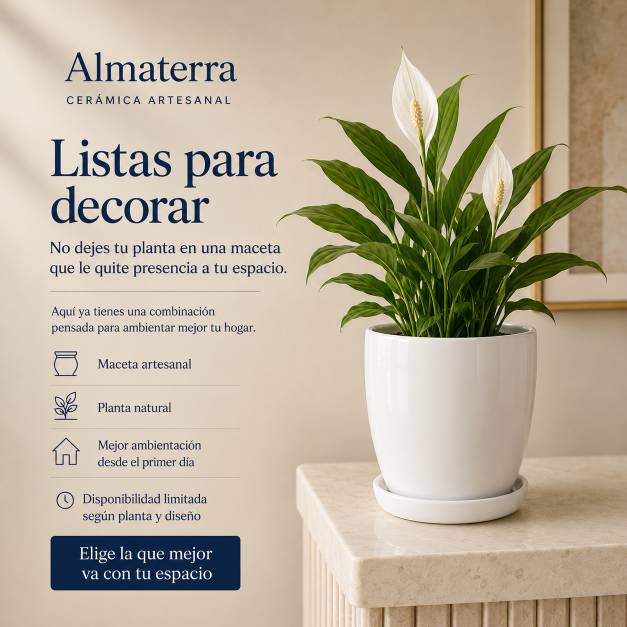 Maceta Orquídea